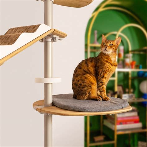 Omlet freestyle cat tree. Things To Know About Omlet freestyle cat tree. 